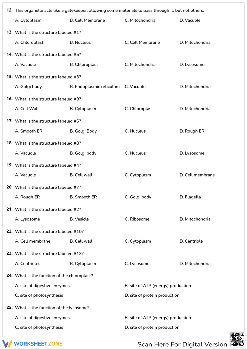 Cell Structures Quiz: Compare and Contrast - Page 2