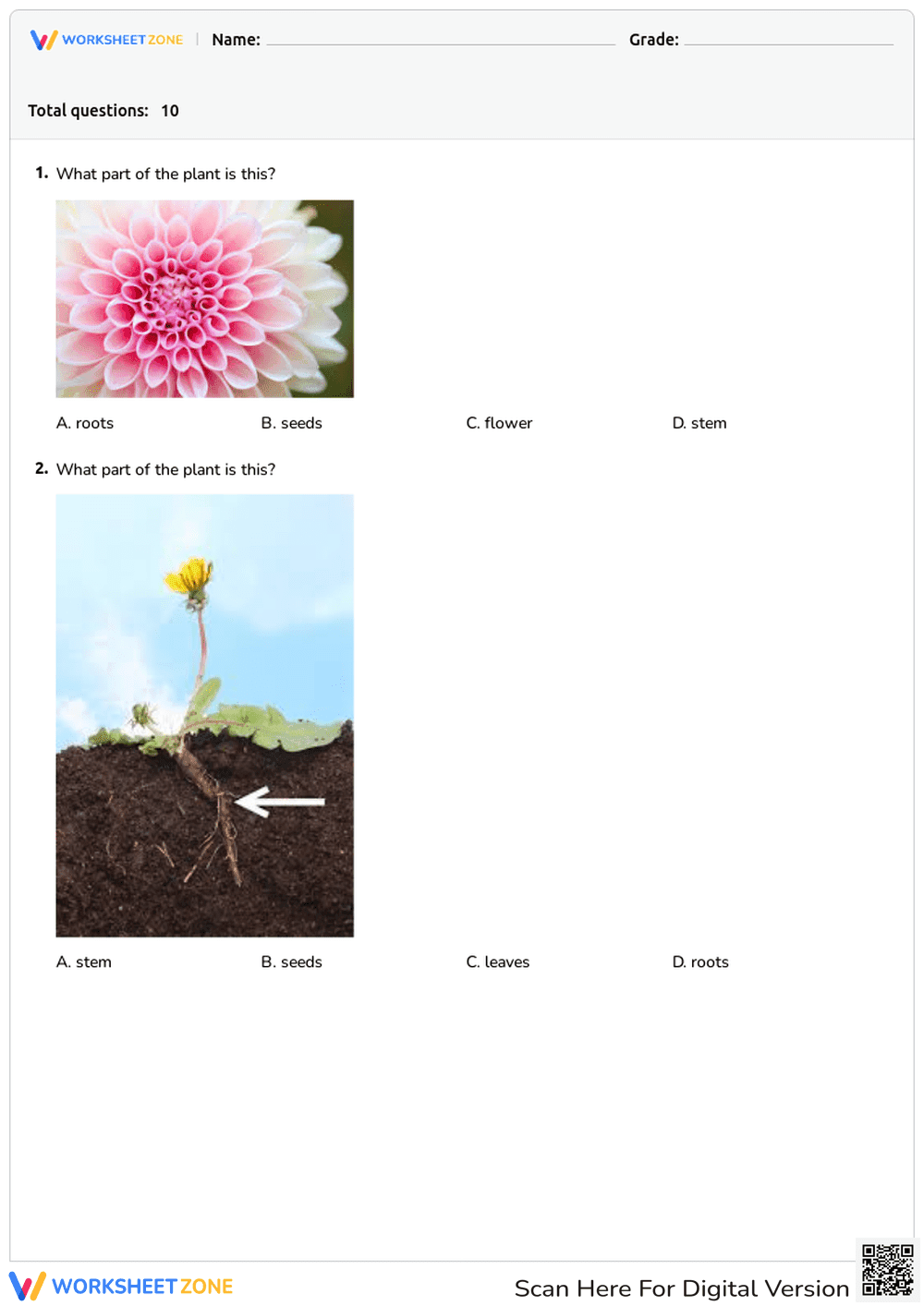 Identifying Plant Parts and Their Functions - Page 1