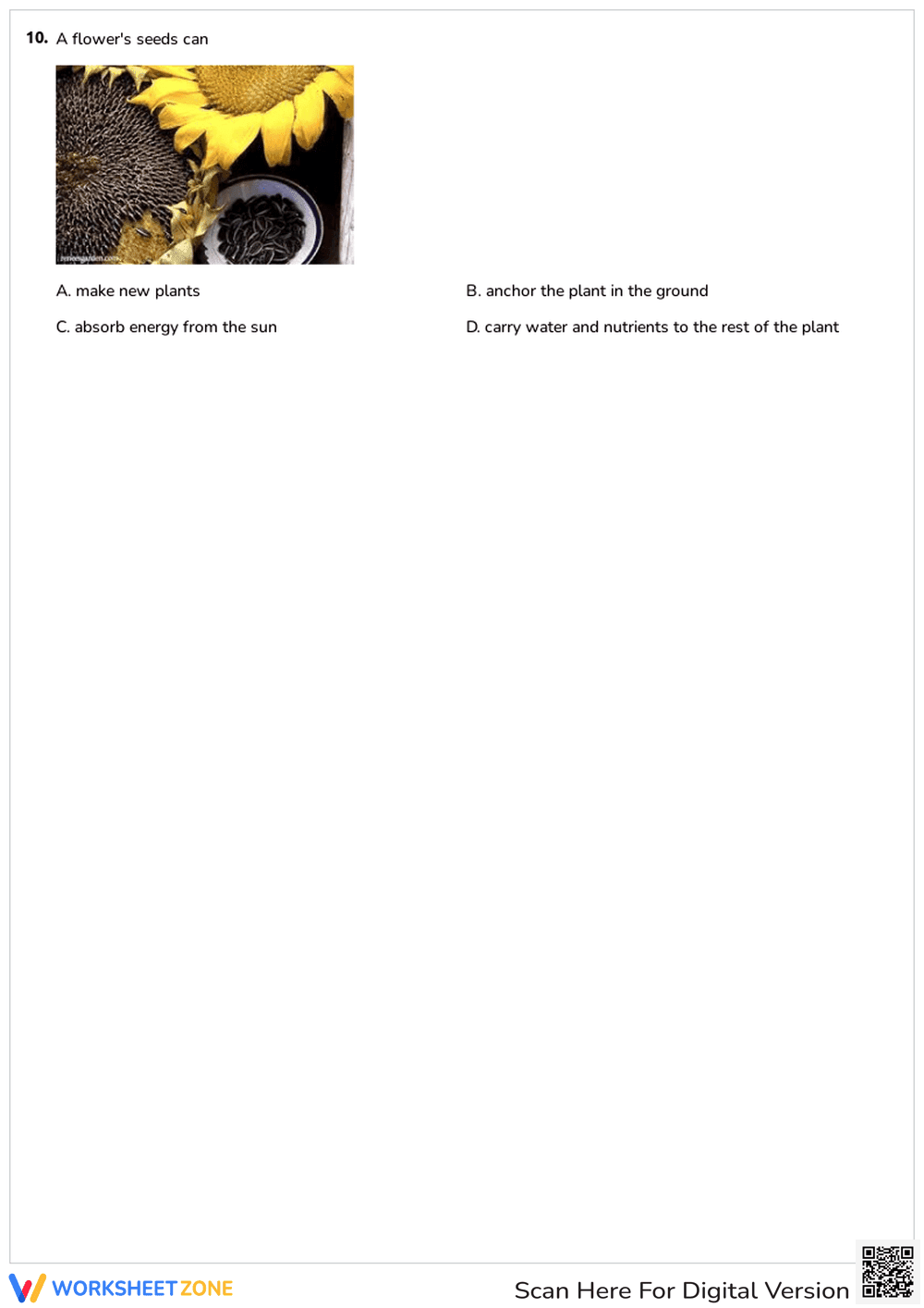 Identifying Plant Parts and Their Functions - Page 4